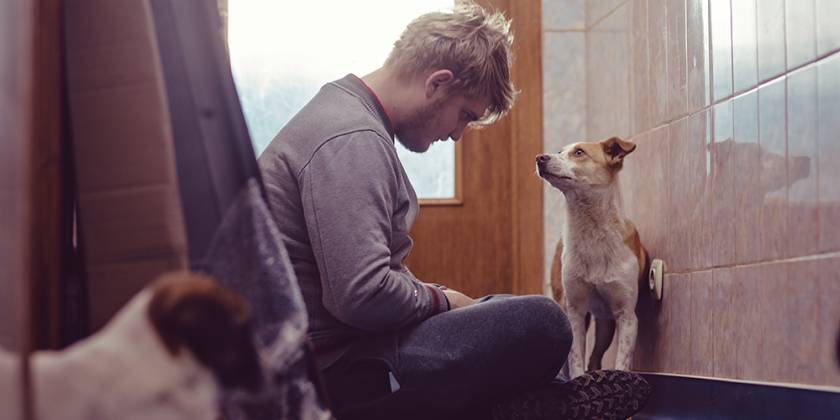 Dyn yn eistedd ar y llawr gyda dau gi