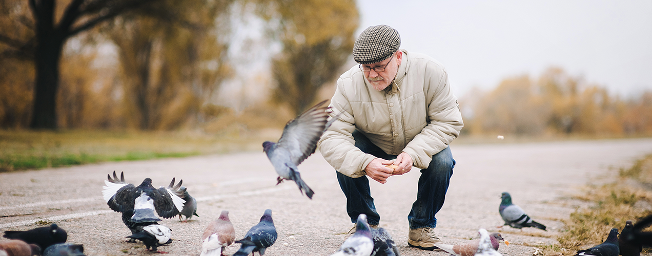 How to spot and avoid pension scams