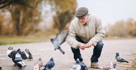Senior man feeding pigeons
